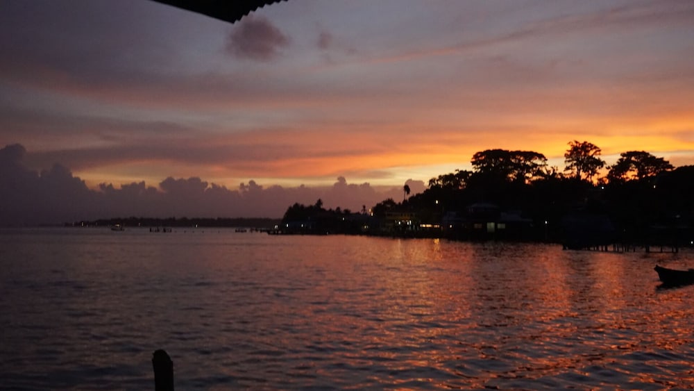 hotel caribbean view
