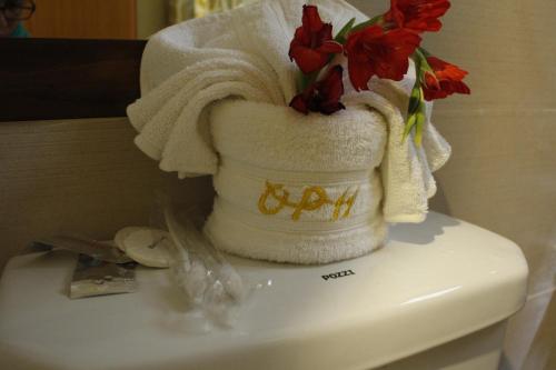 optimum pension house