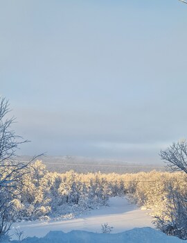 vauldalen fjellhotell