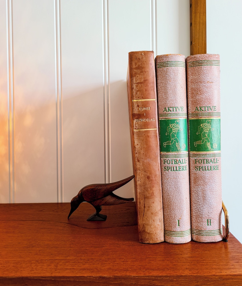 vauldalen fjellhotell