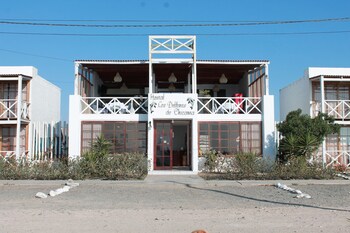 los delfines de chicama