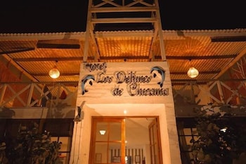 los delfines de chicama