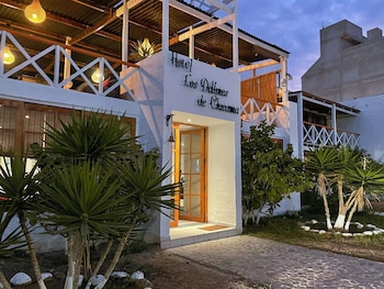 los delfines de chicama