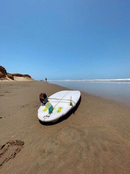 los delfines de chicama