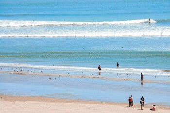 los delfines de chicama