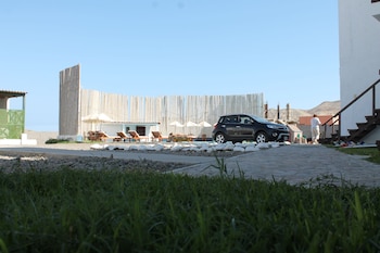 los delfines de chicama