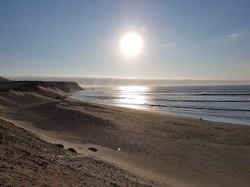 los delfines de chicama