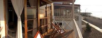 los delfines de chicama