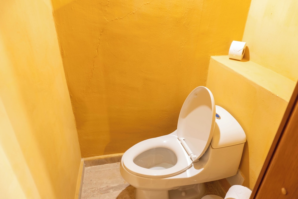 casa carolina hotel cartagena