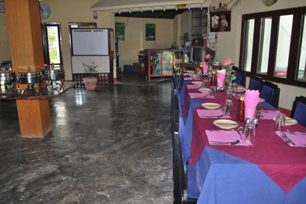 traveller jungle camp