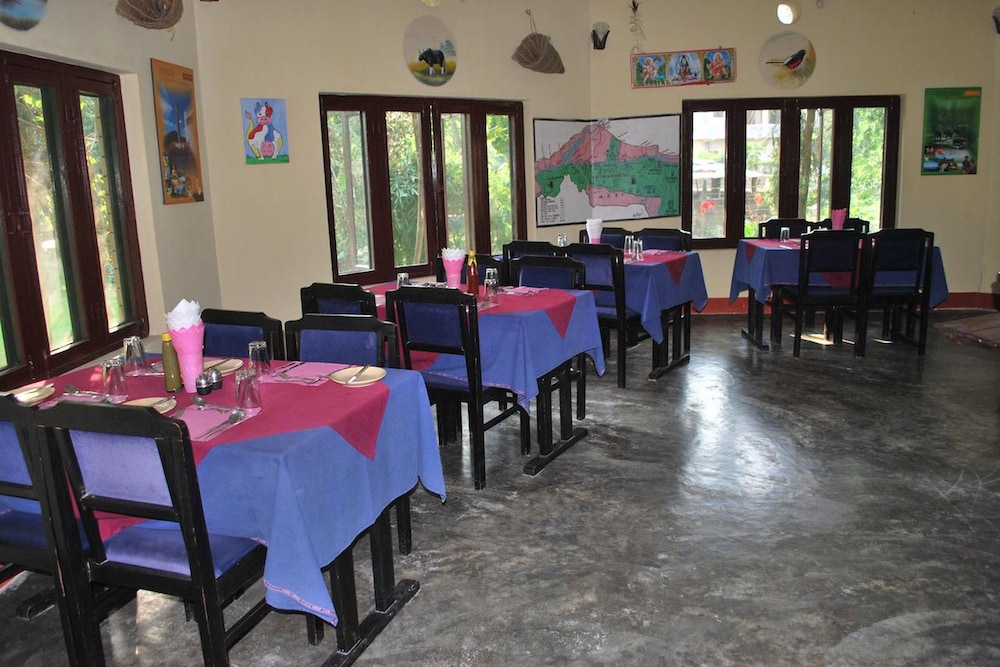 traveller jungle camp