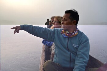 traveller jungle camp