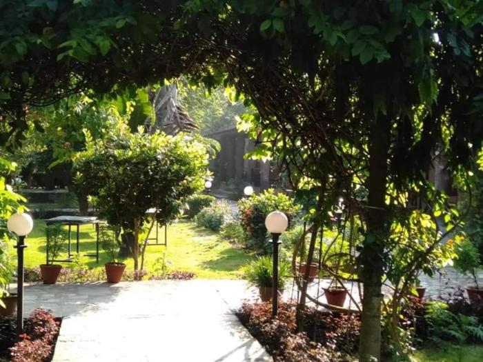 traveller jungle camp