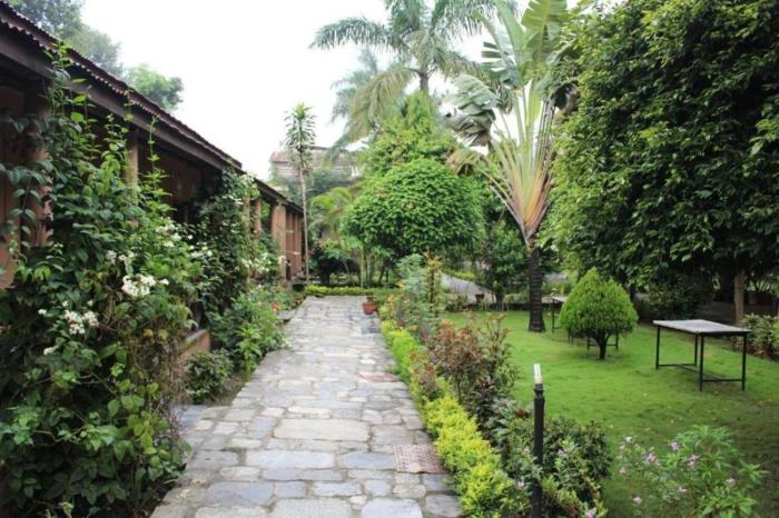 traveller jungle camp