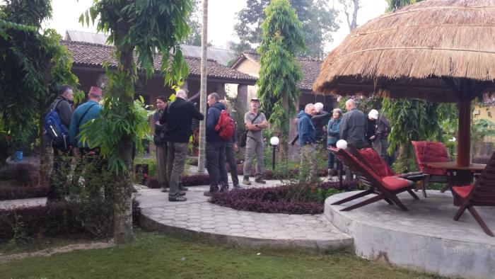 traveller jungle camp