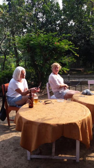 traveller jungle camp