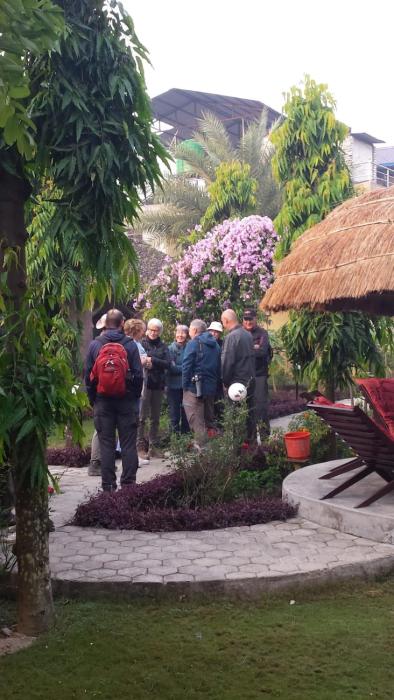 traveller jungle camp