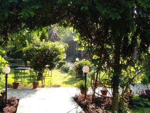 traveller jungle camp