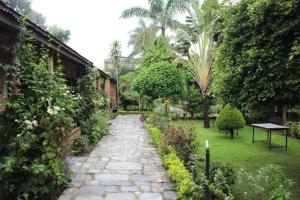 traveller jungle camp