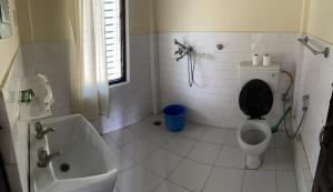 traveller jungle camp