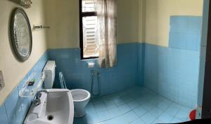 traveller jungle camp