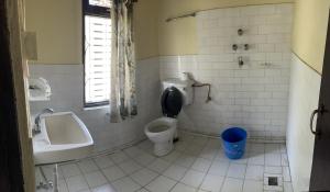 traveller jungle camp