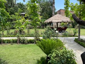 traveller jungle camp