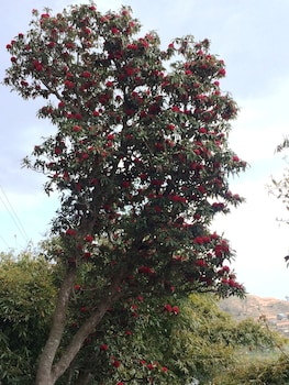 golden gate guest house