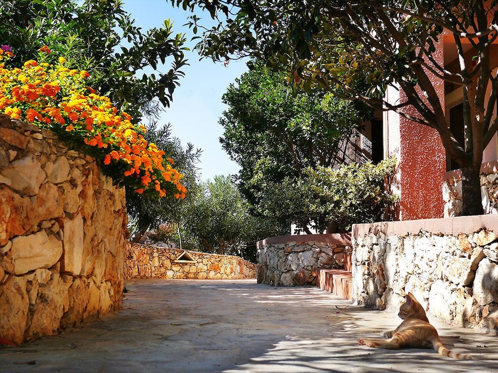 chania
