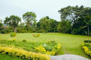 gorillas lake kivu hotel