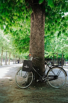 le burgundy paris