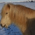 selfoss