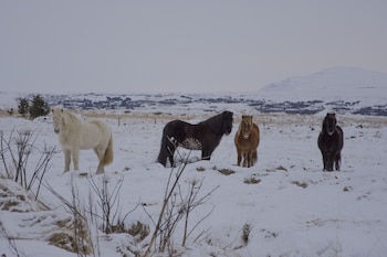selfoss