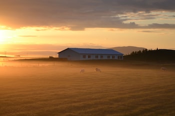 selfoss