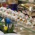 rosaka nha trang hotel