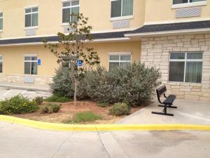 super 8 by wyndham odessa tx