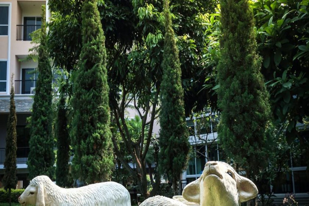 the pino hotel pakchong