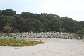 Victoria Forest Resort,Entebbe>>Bugala Island,4 star