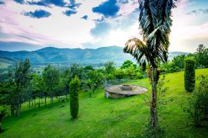 The Crested Crane Bwindi Hotel,Kabale>>Bwindi,3 star