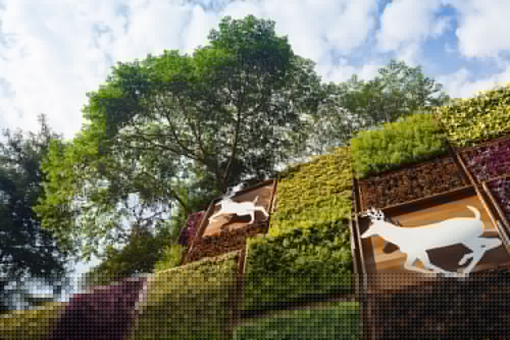 lealea garden hotel moon