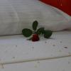 marmaris