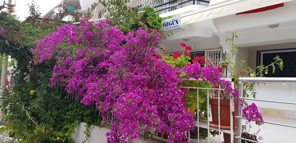 ozgun apart hotel
