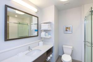 hampton inn lumberton