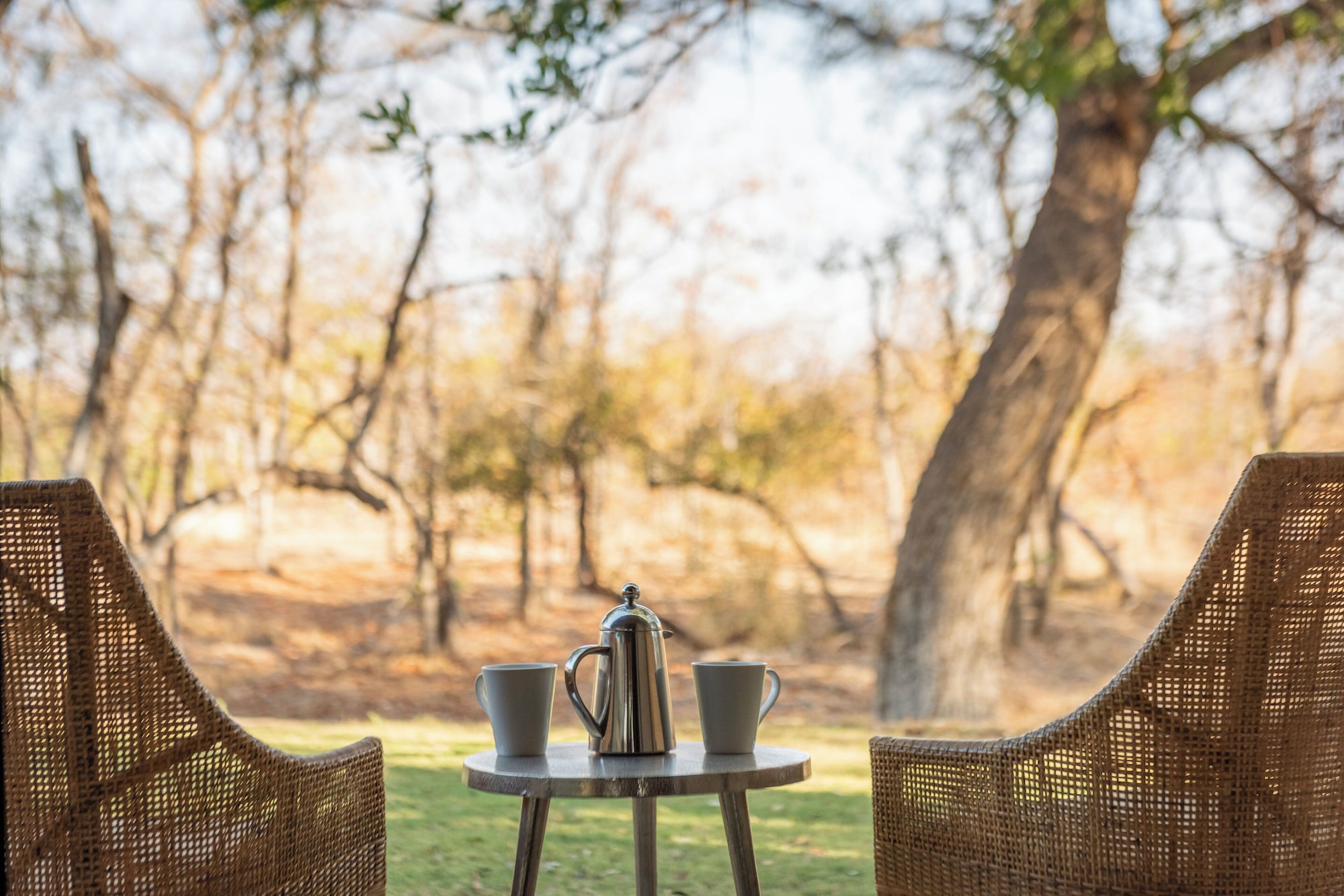 klaserie private nature reserve