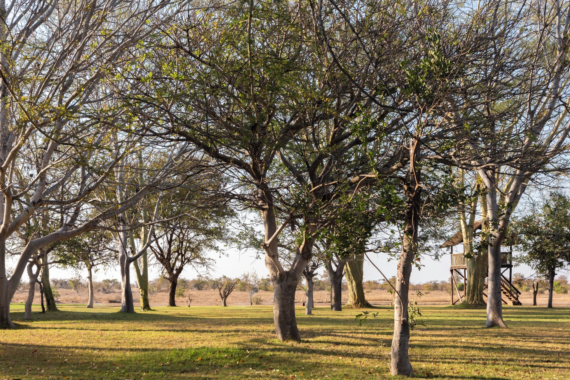 xanatseni private camp