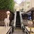 the bazaar hotel