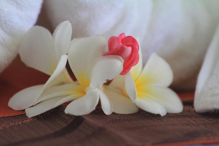 lanta fevrier resort