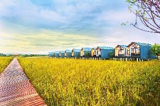 Fang Modern Hotel,Fang>>Chiang Mai,2 star