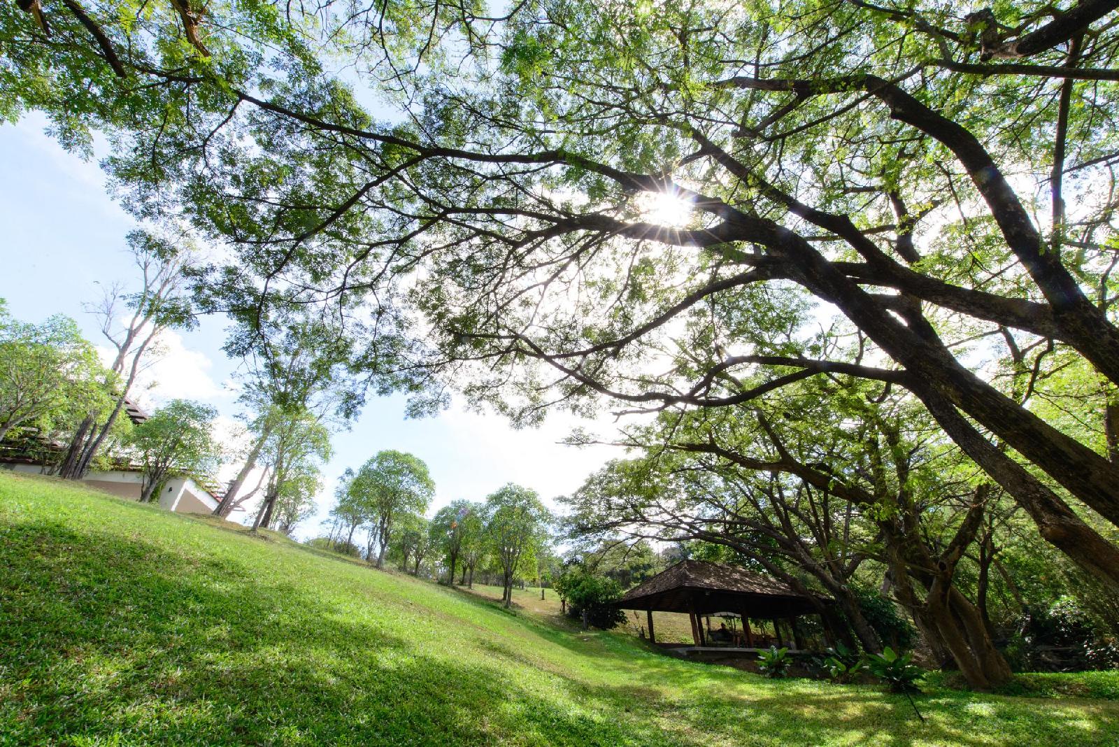 rain tree residence hotel