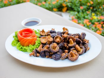 fortune riverview hotel chiang khong